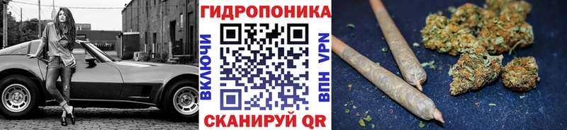 нарко площадка формула  Снежногорск  Канабис индика  хочу  